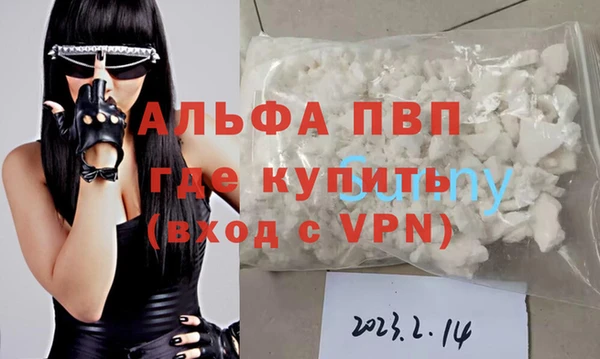 стафф Надым