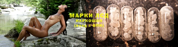 стафф Надым