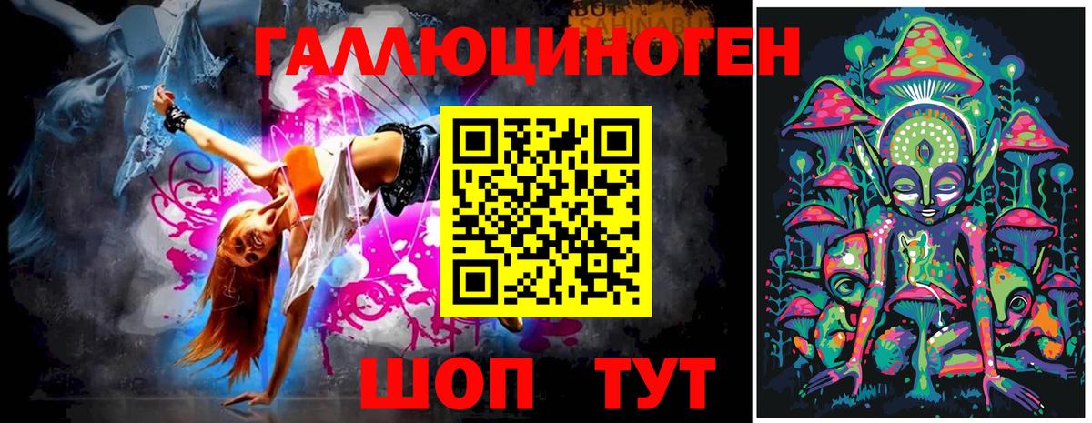 дарнет шоп  Вход с VPN  Нефтекумск  Галлюциногенные грибы GOLDEN TEACHER  Псилоцибиновые грибы мицелий 